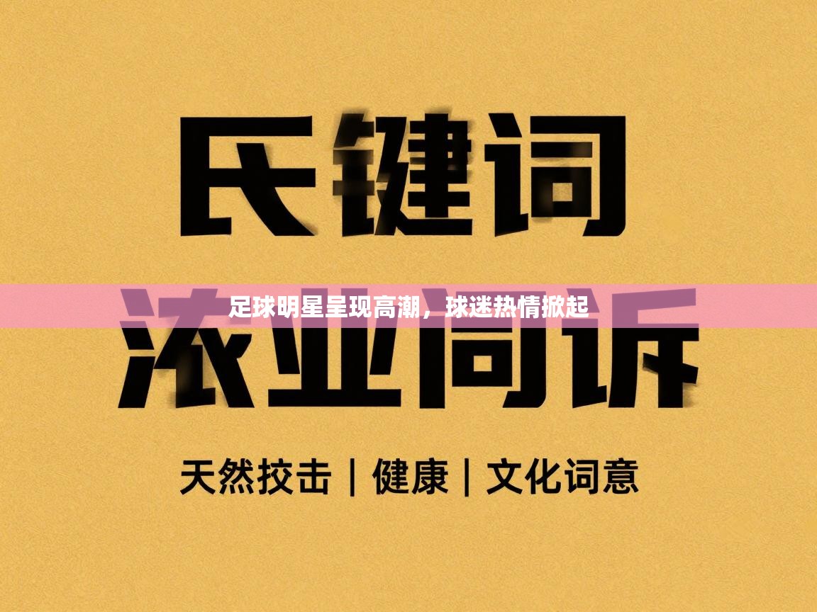 足球明星呈现高潮,球迷热情掀起 第2张