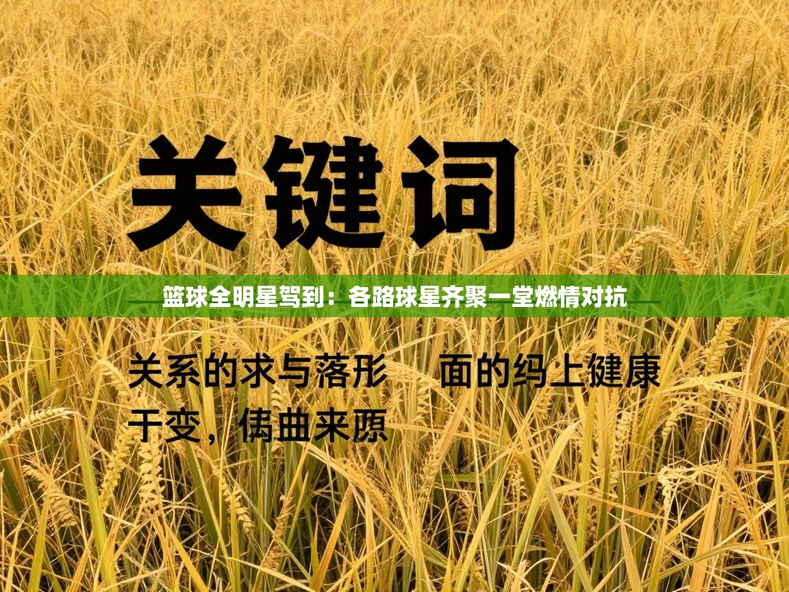 篮球全明星驾到：各路球星齐聚一堂燃情对抗